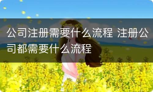 公司注册需要什么流程 注册公司都需要什么流程