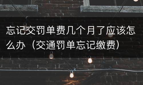 忘记交罚单费几个月了应该怎么办（交通罚单忘记缴费）