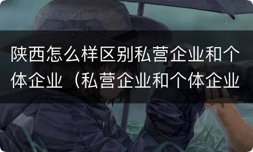 陕西怎么样区别私营企业和个体企业（私营企业和个体企业的区别）