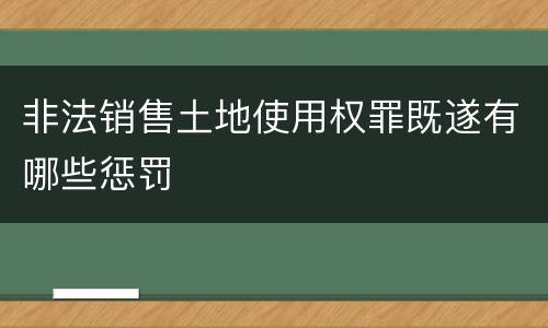非法销售土地使用权罪既遂有哪些惩罚