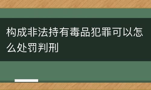 构成非法持有毒品犯罪可以怎么处罚判刑