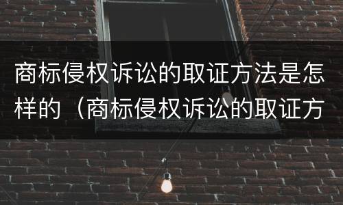 商标侵权诉讼的取证方法是怎样的（商标侵权诉讼的取证方法是怎样的呢）
