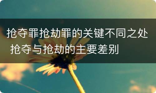 抢夺罪抢劫罪的关键不同之处 抢夺与抢劫的主要差别