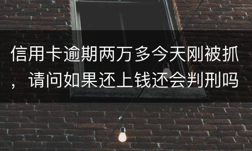 信用卡逾期两万多今天刚被抓，请问如果还上钱还会判刑吗