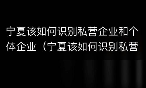 宁夏该如何识别私营企业和个体企业（宁夏该如何识别私营企业和个体企业）