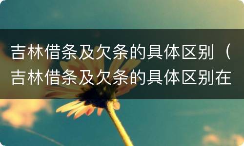 吉林借条及欠条的具体区别（吉林借条及欠条的具体区别在哪）