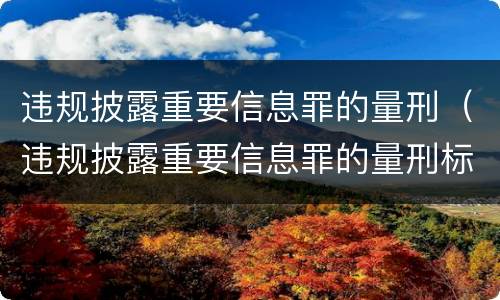 违规披露重要信息罪的量刑（违规披露重要信息罪的量刑标准）