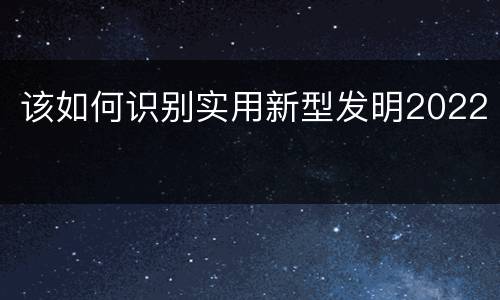 该如何识别实用新型发明2022