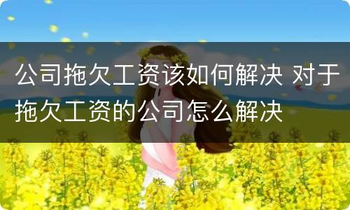公司拖欠工资该如何解决 对于拖欠工资的公司怎么解决