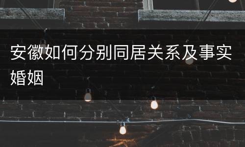 安徽如何分别同居关系及事实婚姻