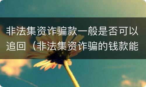 非法集资诈骗款一般是否可以追回（非法集资诈骗的钱款能追回吗）