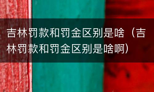 吉林罚款和罚金区别是啥（吉林罚款和罚金区别是啥啊）