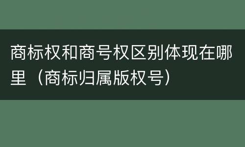 商标权和商号权区别体现在哪里（商标归属版权号）