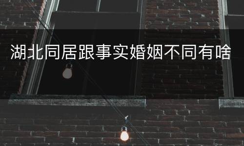 湖北同居跟事实婚姻不同有啥