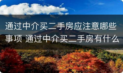通过中介买二手房应注意哪些事项 通过中介买二手房有什么陷阱