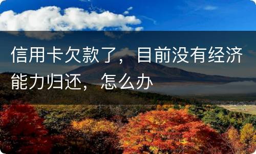 信用卡欠款了，目前没有经济能力归还，怎么办