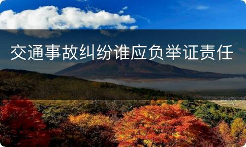 交通事故纠纷谁应负举证责任