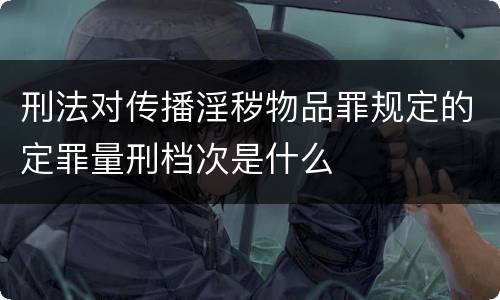 刑法对传播淫秽物品罪规定的定罪量刑档次是什么