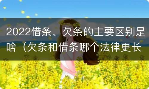 2022借条、欠条的主要区别是啥（欠条和借条哪个法律更长）