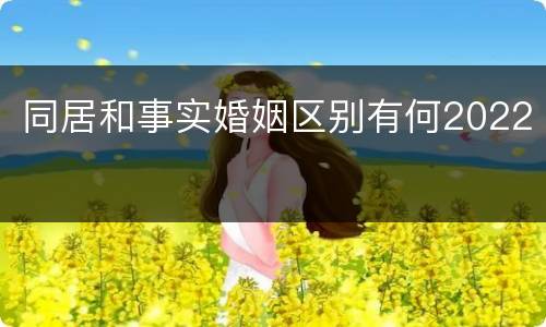 同居和事实婚姻区别有何2022