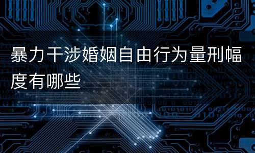 暴力干涉婚姻自由行为量刑幅度有哪些