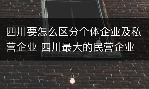 四川要怎么区分个体企业及私营企业 四川最大的民营企业