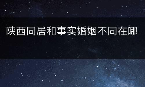 陕西同居和事实婚姻不同在哪