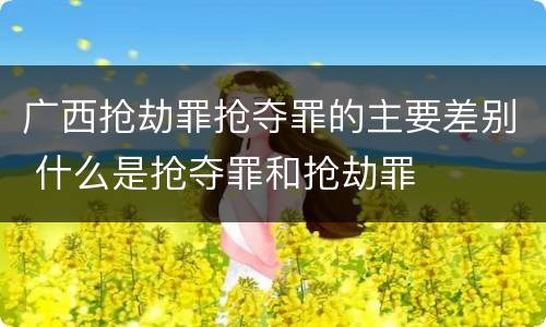 广西抢劫罪抢夺罪的主要差别 什么是抢夺罪和抢劫罪
