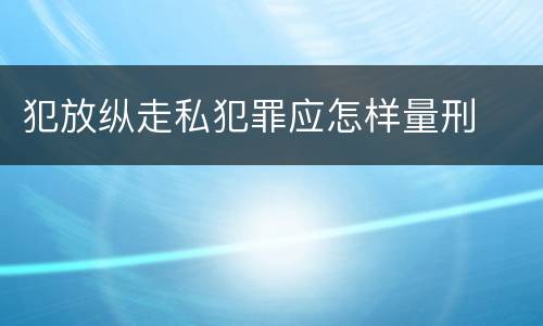 犯放纵走私犯罪应怎样量刑