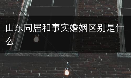 山东同居和事实婚姻区别是什么