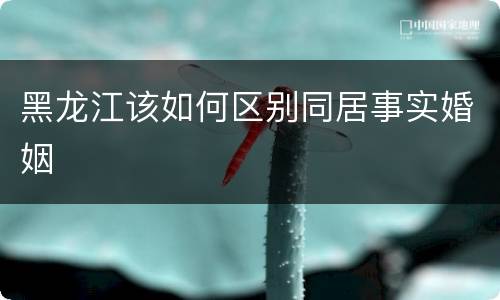黑龙江该如何区别同居事实婚姻