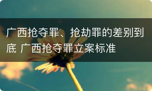 广西抢夺罪、抢劫罪的差别到底 广西抢夺罪立案标准