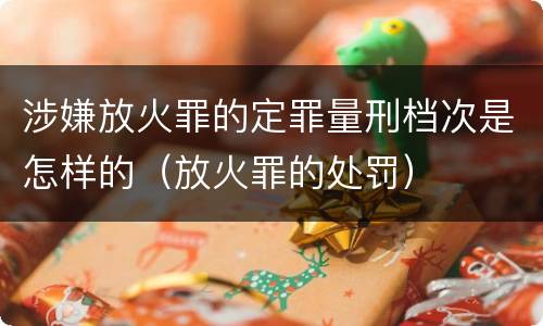 涉嫌放火罪的定罪量刑档次是怎样的（放火罪的处罚）