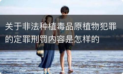 关于非法种植毒品原植物犯罪的定罪刑罚内容是怎样的