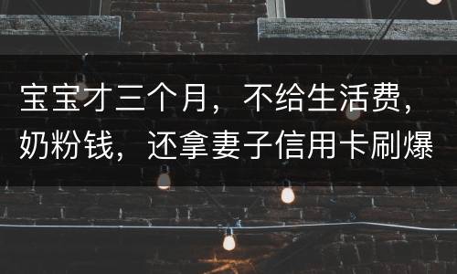 宝宝才三个月，不给生活费，奶粉钱，还拿妻子信用卡刷爆了，没有偿还