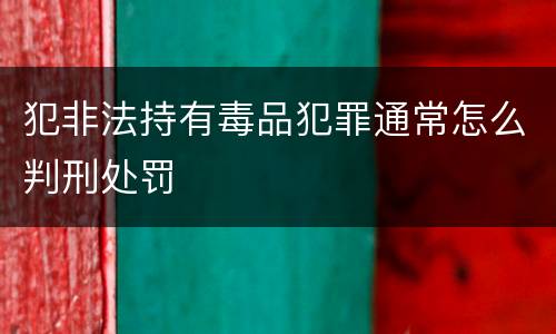 犯非法持有毒品犯罪通常怎么判刑处罚