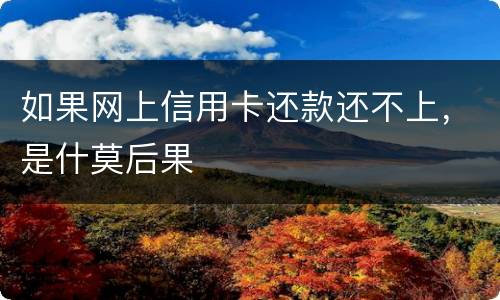 如果网上信用卡还款还不上，是什莫后果