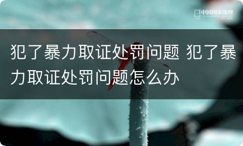 犯了暴力取证处罚问题 犯了暴力取证处罚问题怎么办