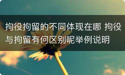 拘役拘留的不同体现在哪 拘役与拘留有何区别呢举例说明