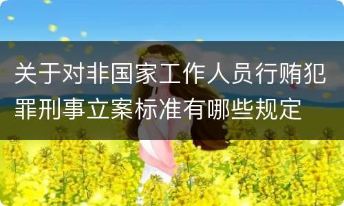 关于对非国家工作人员行贿犯罪刑事立案标准有哪些规定