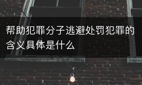 帮助犯罪分子逃避处罚犯罪的含义具体是什么