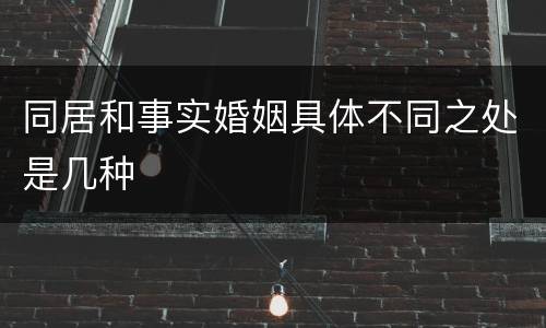 同居和事实婚姻具体不同之处是几种