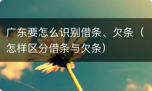 广东要怎么识别借条、欠条（怎样区分借条与欠条）