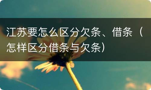 江苏要怎么区分欠条、借条（怎样区分借条与欠条）