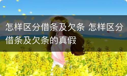 怎样区分借条及欠条 怎样区分借条及欠条的真假