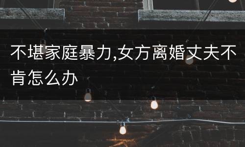 不堪家庭暴力,女方离婚丈夫不肯怎么办