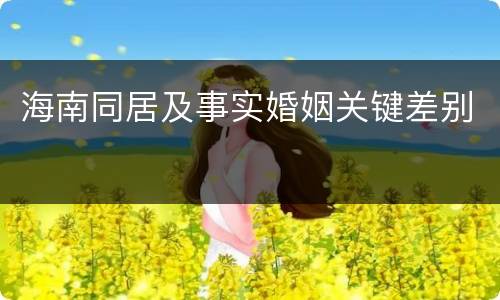 海南同居及事实婚姻关键差别