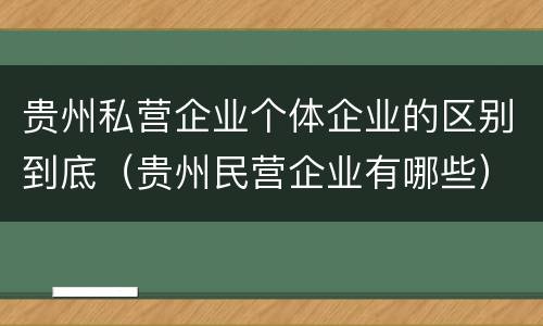 贵州私营企业个体企业的区别到底（贵州民营企业有哪些）