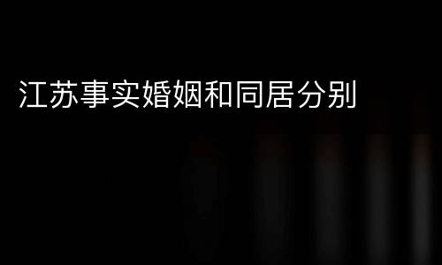 江苏事实婚姻和同居分别