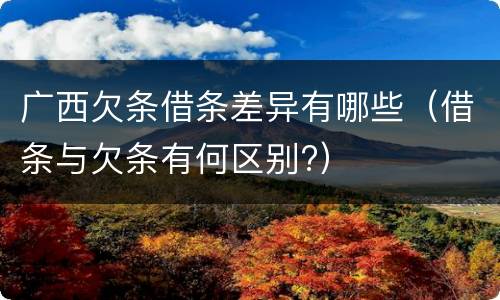 广西欠条借条差异有哪些（借条与欠条有何区别?）